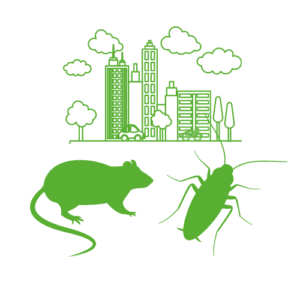 Desinfección, Desinsectación y Desratización