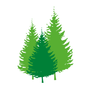 Tratamientos Fitosanitarios